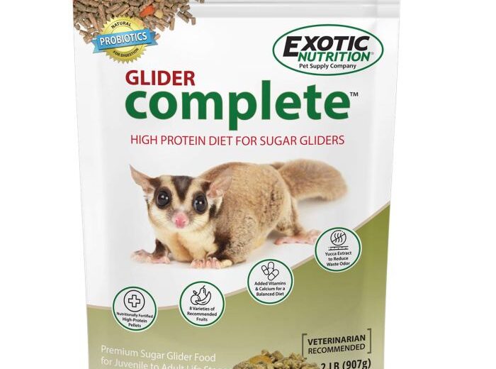 Sugar glider gliders animals tree sugarglider