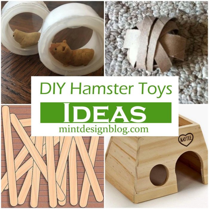 Panduan Membuat Mainan DIY untuk Hamster Anda