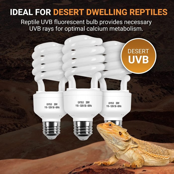 Light uvb uv bulb reptile lizard lamp reptiles bulbs terrarium 13w turtle vivarium tortoise energy lights choose board