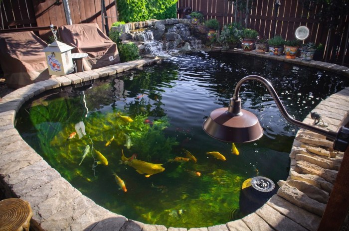 Koi ponds patio